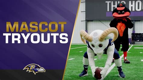 The Ravens Mascot Tryouts: Judging the Candidates' Enthusiasm and Team Spirit